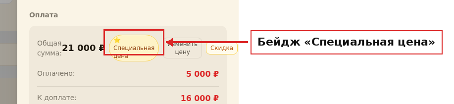 Бейдж «Специальная цена» в разделе «Оплата»