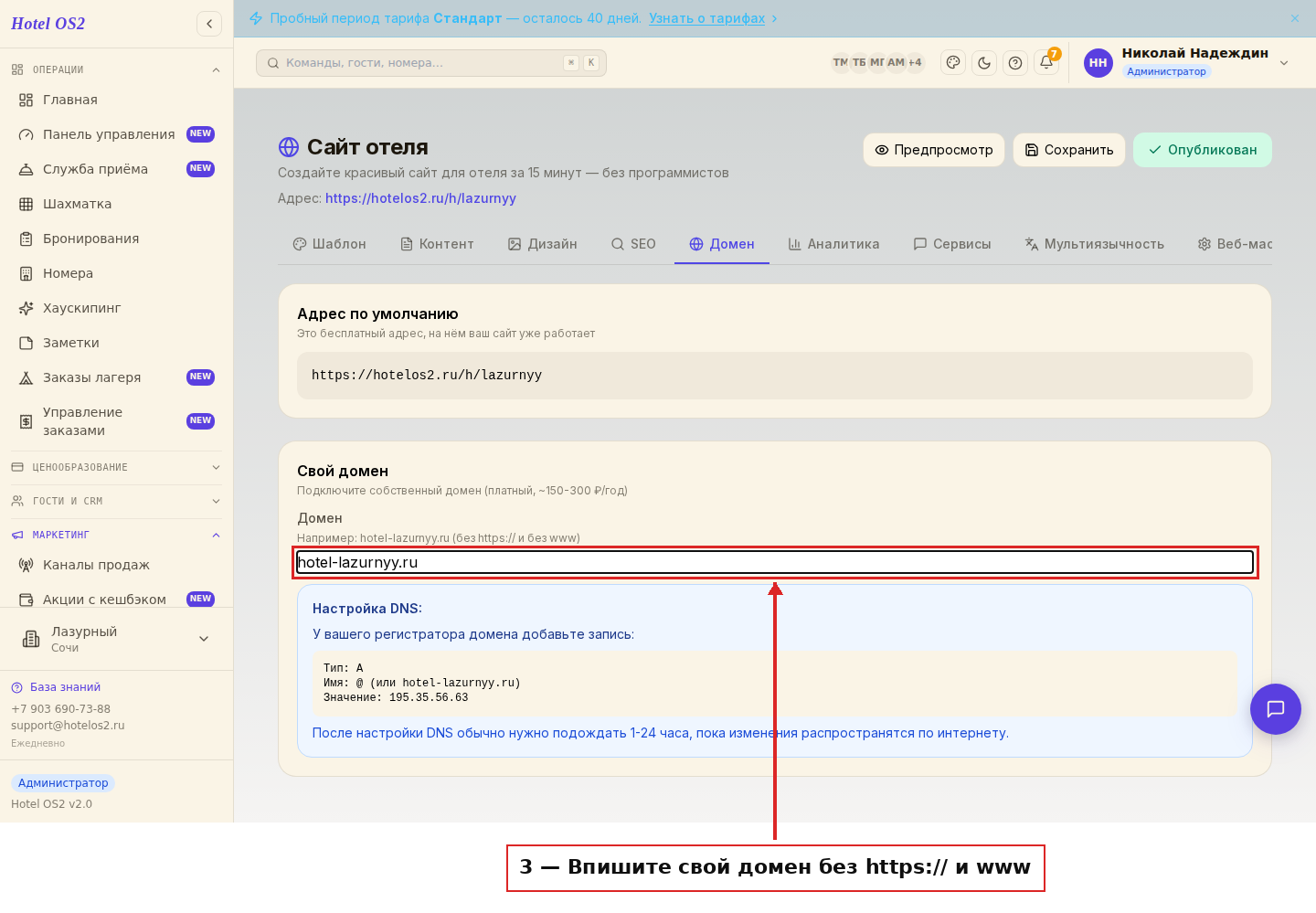 Поле для ввода своего домена
